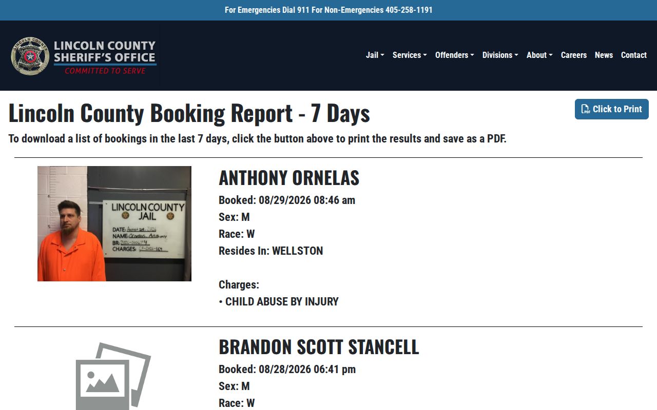 Lincoln County seven-day booking record report interface